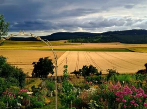 Piknik a kertben, Hajnal kertje